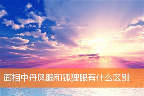 狐狸眼面相|面相解析何為狐眼